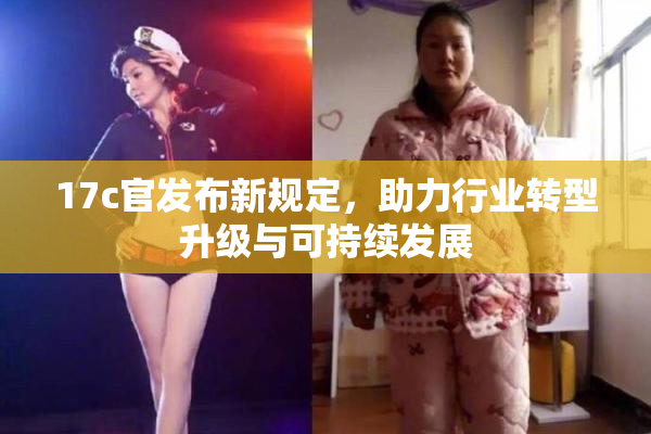 17c官发布新规定，助力行业转型升级与可持续发展