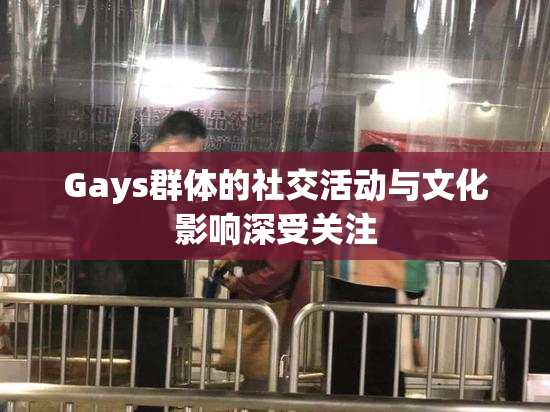 Gays群体的社交活动与文化影响深受关注