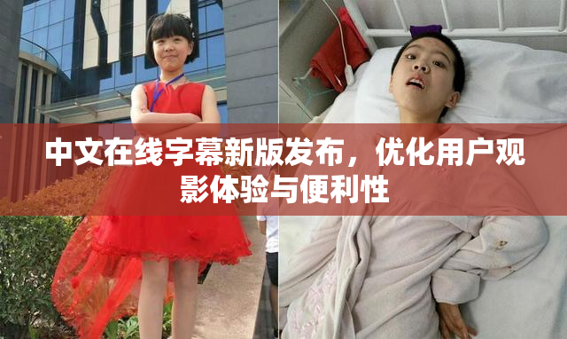 中文在线字幕新版发布，优化用户观影体验与便利性