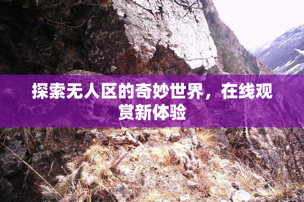 探索无人区的奇妙世界，在线观赏新体验