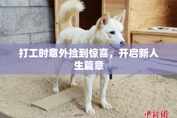 打工时意外捡到惊喜，开启新人生篇章