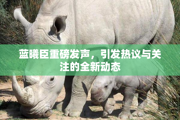 蓝曦臣重磅发声，引发热议与关注的全新动态