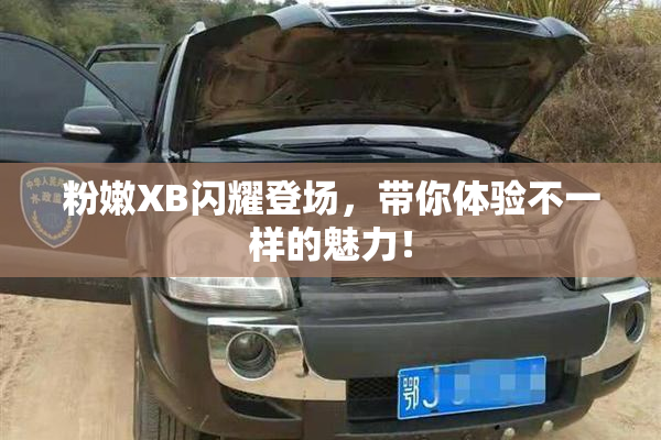 粉嫩XB闪耀登场，带你体验不一样的魅力！