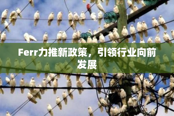 Ferr力推新政策，引领行业向前发展