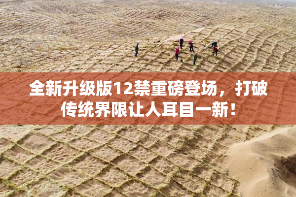 全新升级版12禁重磅登场，打破传统界限让人耳目一新！