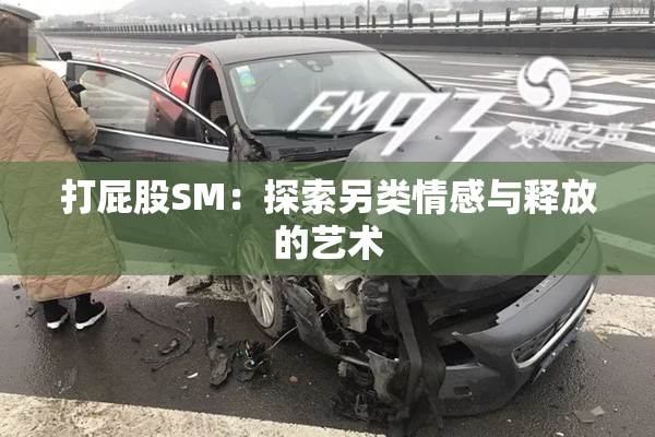 打屁股SM：探索另类情感与释放的艺术