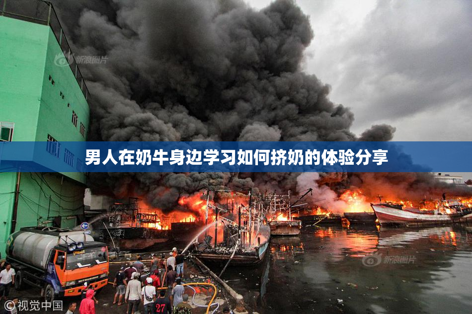 男人在奶牛身边学习如何挤奶的体验分享