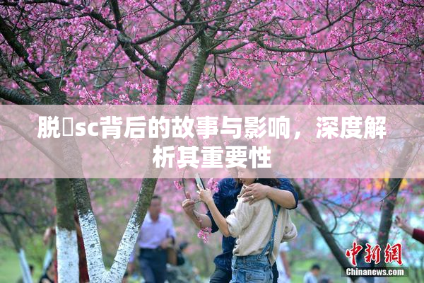 脱糞sc背后的故事与影响，深度解析其重要性