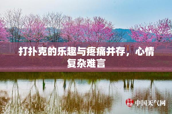 打扑克的乐趣与疼痛并存，心情复杂难言