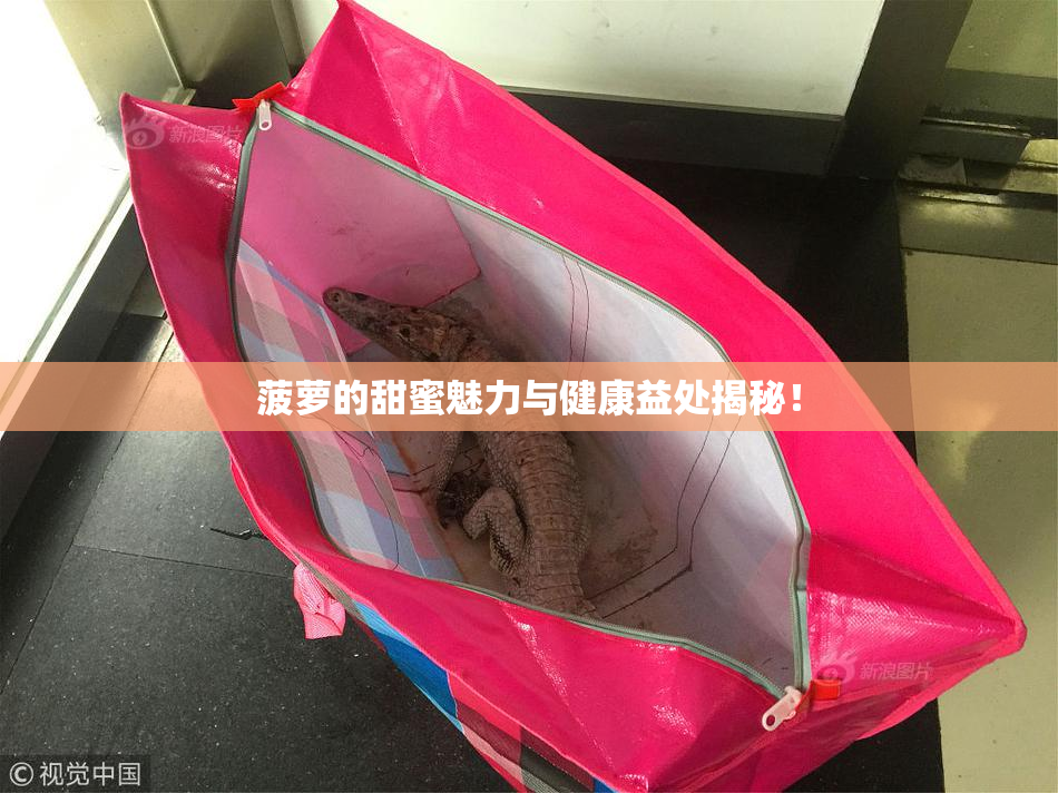 菠萝的甜蜜魅力与健康益处揭秘！