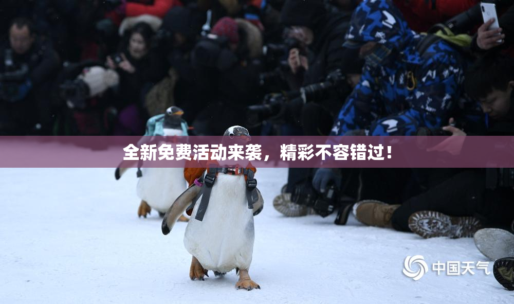 全新免费活动来袭，精彩不容错过！