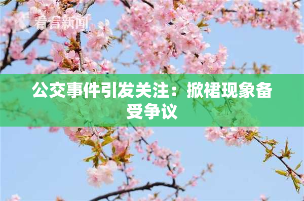 公交事件引发关注：掀裙现象备受争议