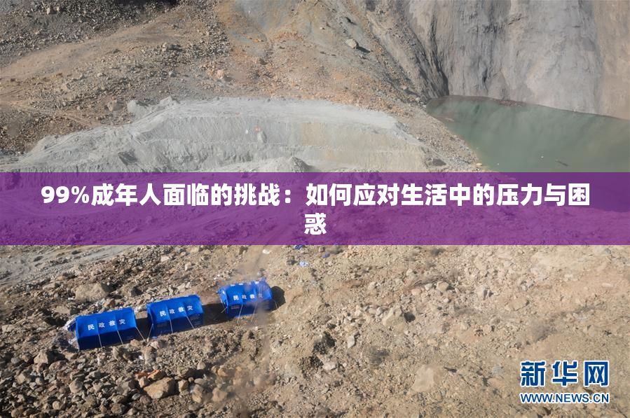 99%成年人面临的挑战：如何应对生活中的压力与困惑