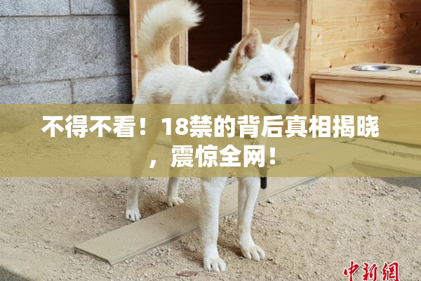 不得不看！18禁的背后真相揭晓，震惊全网！