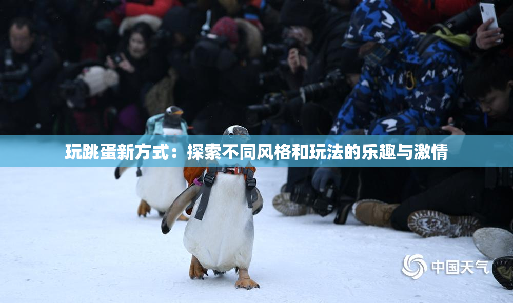 玩跳蛋新方式：探索不同风格和玩法的乐趣与激情