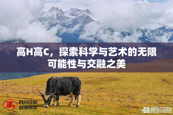 高H高C，探索科学与艺术的无限可能性与交融之美
