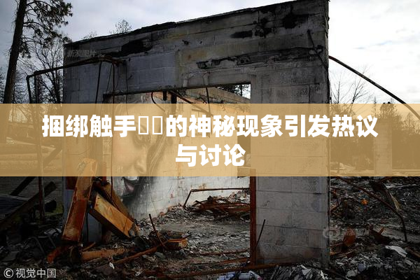 捆绑触手❌‌的神秘现象引发热议与讨论