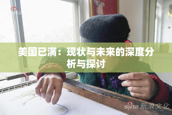 美国已满：现状与未来的深度分析与探讨