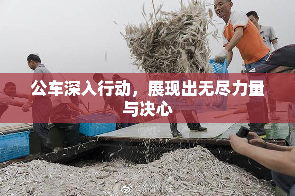 公车深入行动，展现出无尽力量与决心