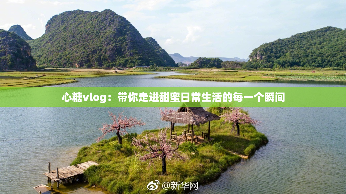 心糖vlog：带你走进甜蜜日常生活的每一个瞬间