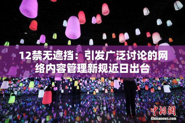 12禁无遮挡：引发广泛讨论的网络内容管理新规近日出台