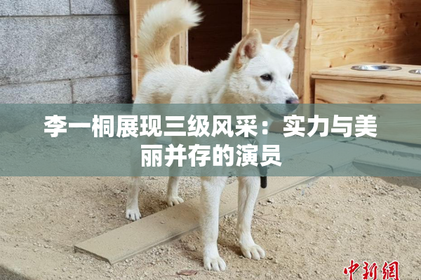 李一桐展现三级风采：实力与美丽并存的演员