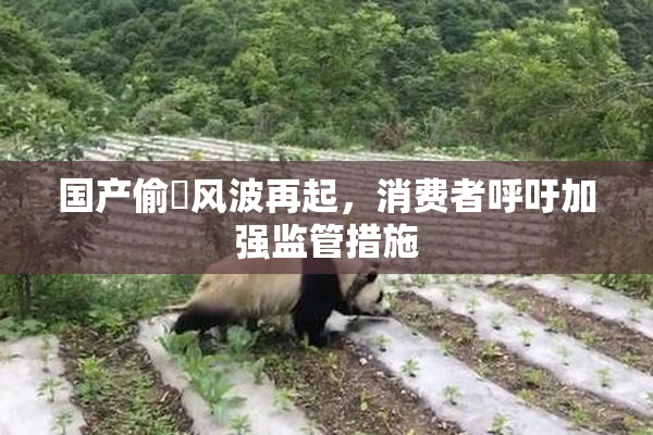 国产偷抇风波再起，消费者呼吁加强监管措施