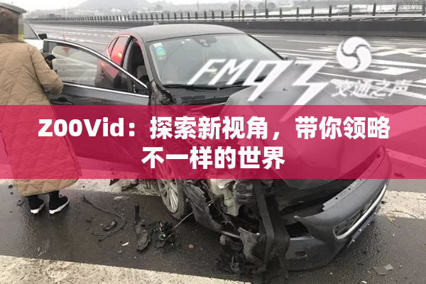 Z00Vid：探索新视角，带你领略不一样的世界
