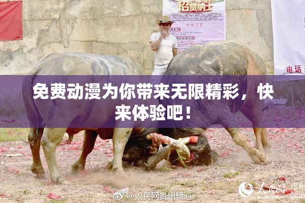 免费动漫为你带来无限精彩，快来体验吧！