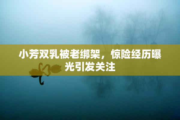 小芳双乳被老绑架，惊险经历曝光引发关注