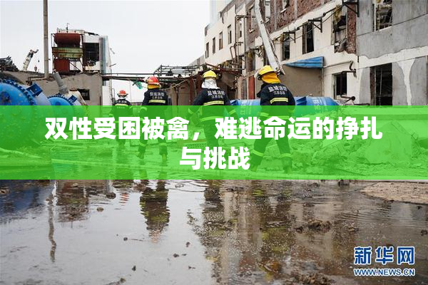 双性受困被禽，难逃命运的挣扎与挑战