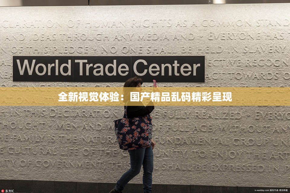 全新视觉体验：国产精品乱码精彩呈现
