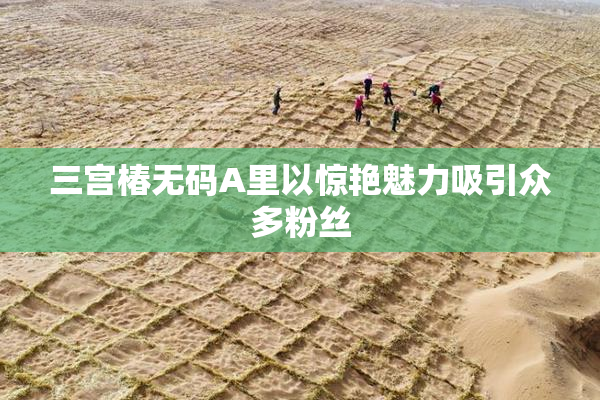 三宫椿无码A里以惊艳魅力吸引众多粉丝
