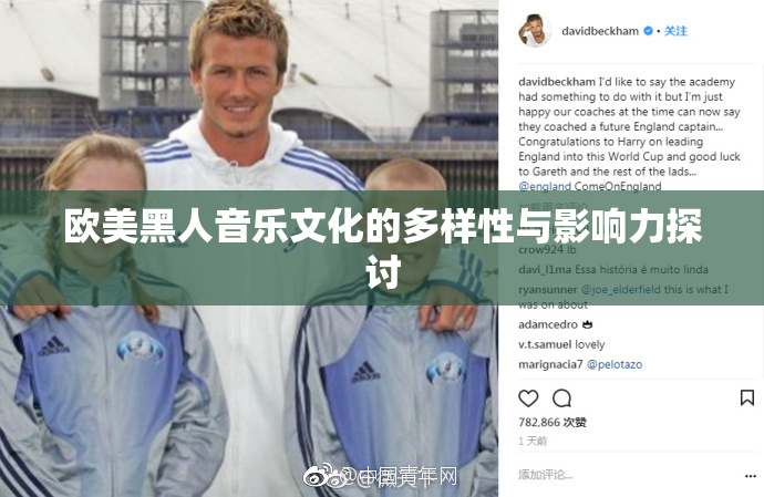 欧美黑人音乐文化的多样性与影响力探讨