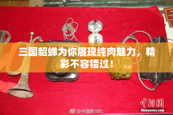 三国貂蝉为你展现纯肉魅力，精彩不容错过！