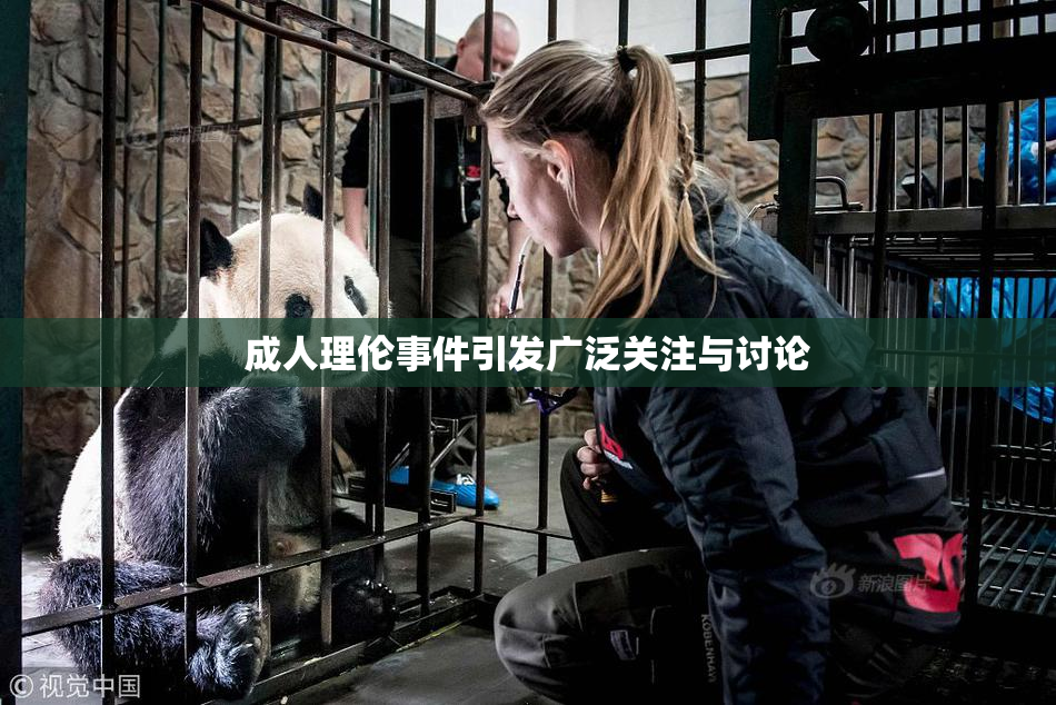 成人理伦事件引发广泛关注与讨论