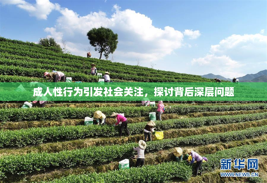 成人性行为引发社会关注，探讨背后深层问题