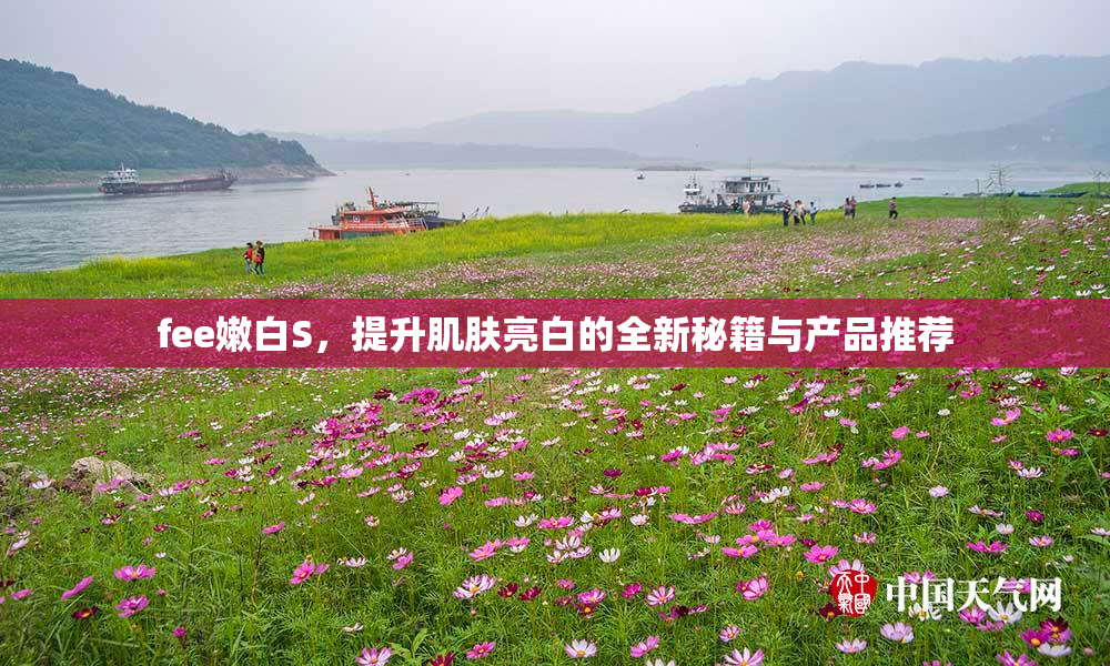 fee嫩白S，提升肌肤亮白的全新秘籍与产品推荐