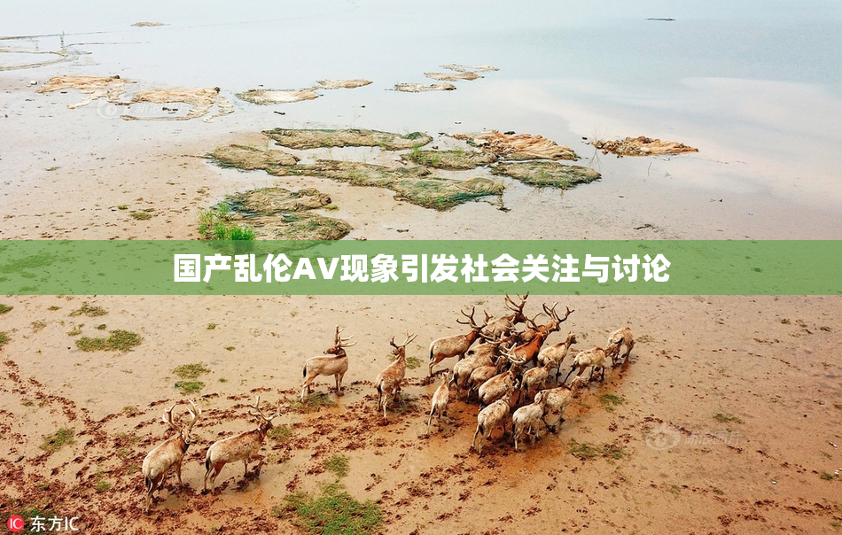 国产乱伦AV现象引发社会关注与讨论