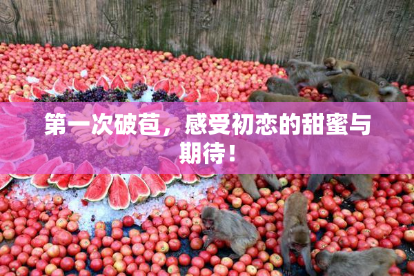 第一次破苞，感受初恋的甜蜜与期待！