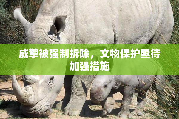 威擎被强制拆除，文物保护亟待加强措施
