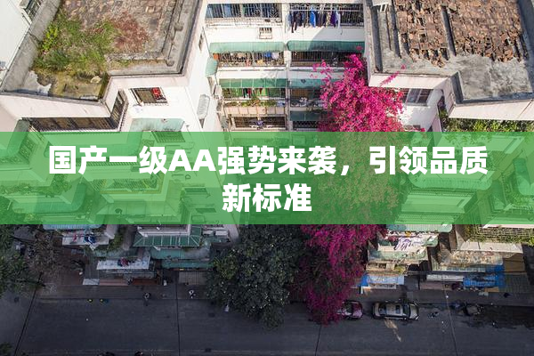 国产一级AA强势来袭，引领品质新标准