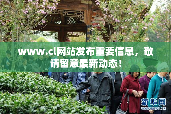 www.cl网站发布重要信息，敬请留意最新动态！