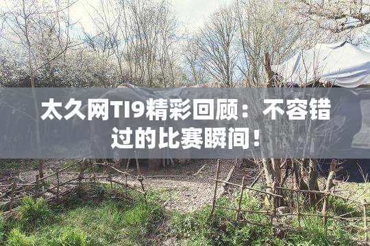 太久网TI9精彩回顾：不容错过的比赛瞬间！