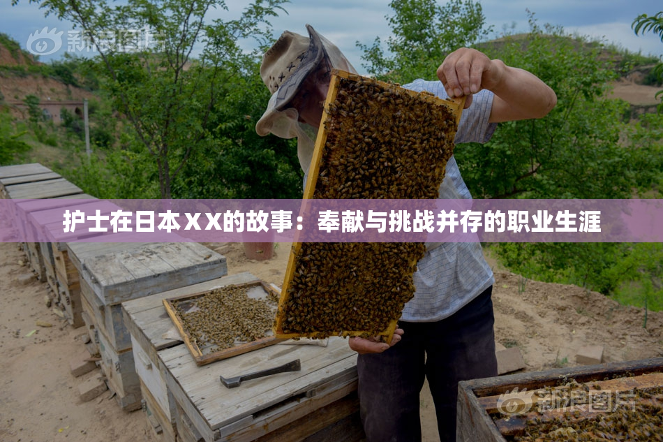 护士在日本ⅩX的故事：奉献与挑战并存的职业生涯