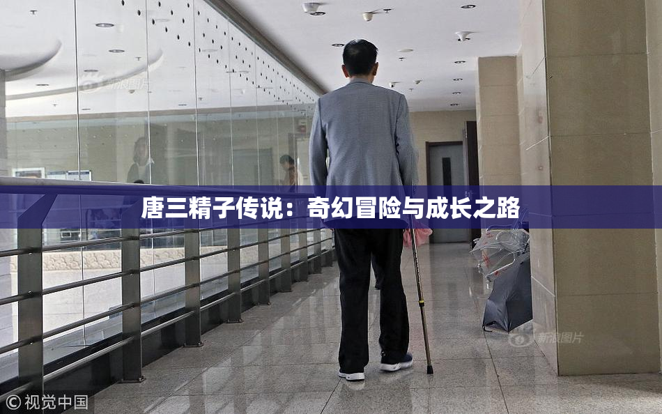 唐三精子传说：奇幻冒险与成长之路