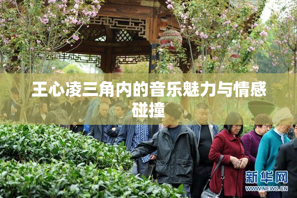 王心凌三角内的音乐魅力与情感碰撞