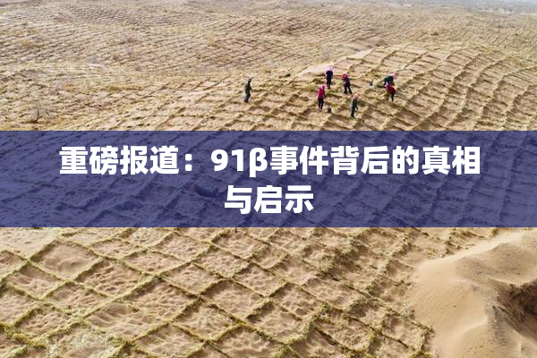 重磅报道：91β事件背后的真相与启示