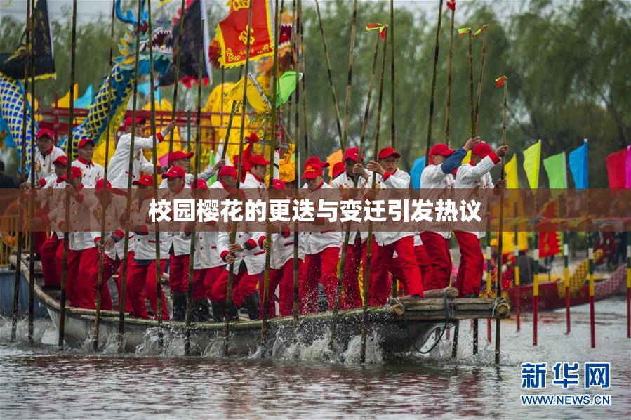 校园樱花的更迭与变迁引发热议