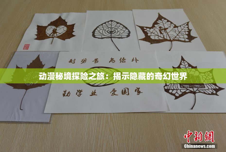 动漫秘境探险之旅：揭示隐藏的奇幻世界